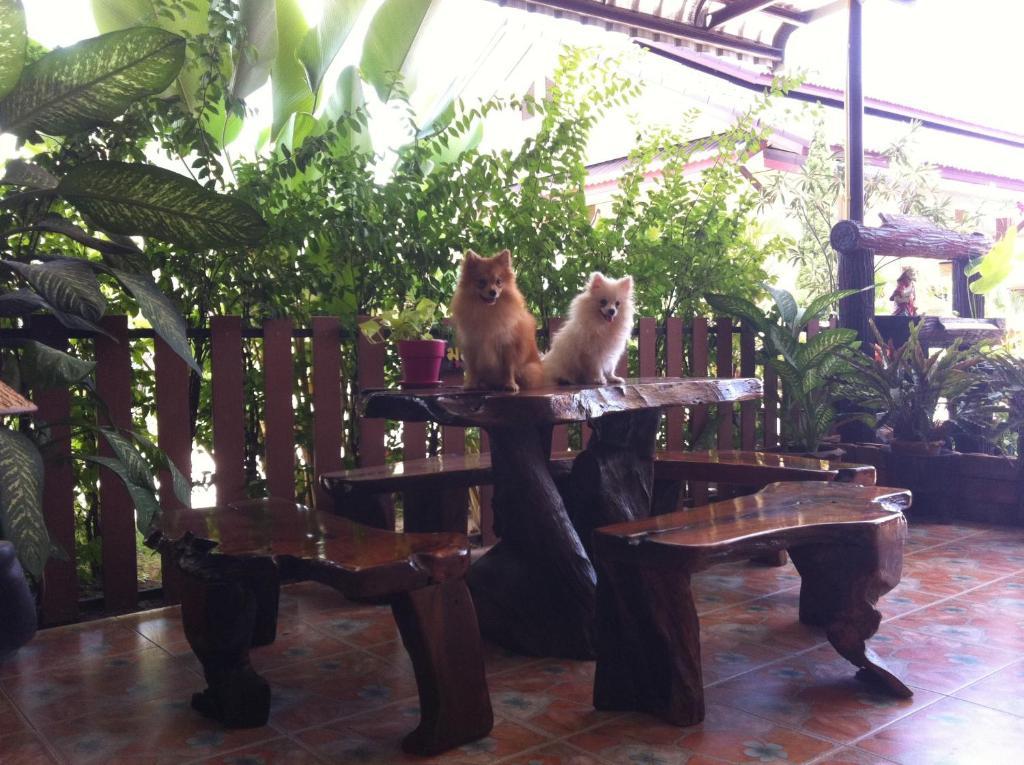 Nida Rooms Central 89 Plaza Resort Surat Thani Esterno foto